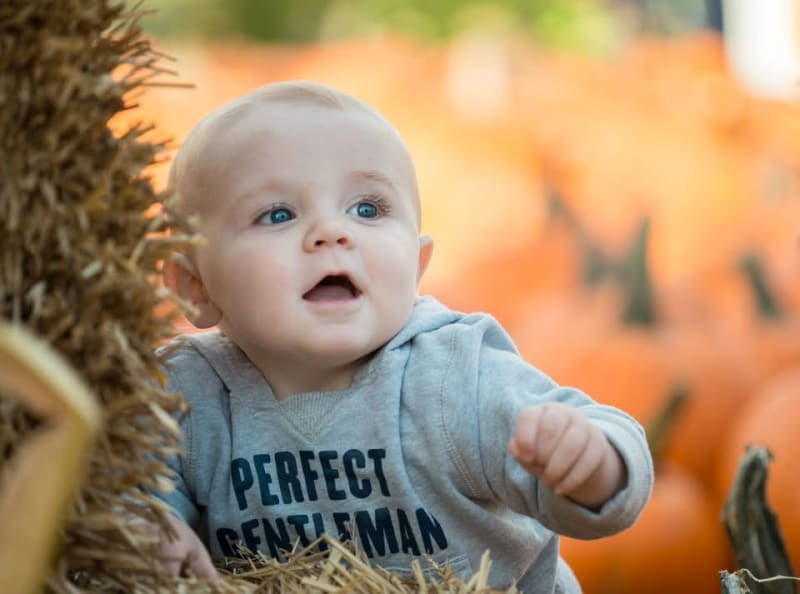 Baby at the Brown Team Pumpkin Patch